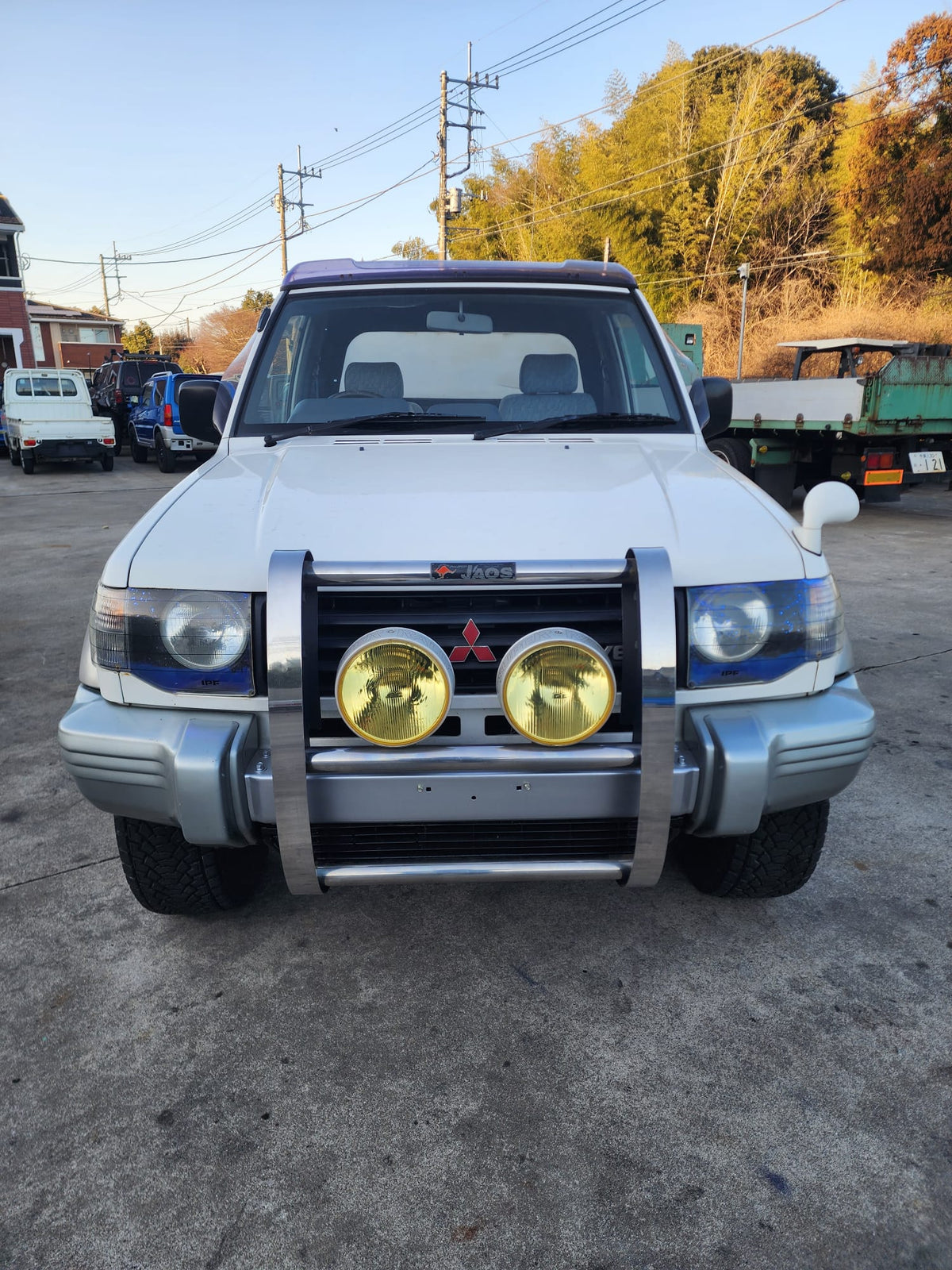 White and silver 1996 Mitsubishi Pajero Canvas Top 4WD SUV, photo 9 of 24